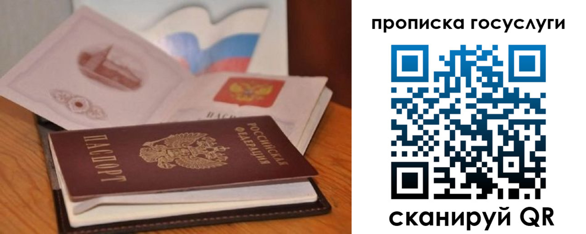 прописка в квартире в Приморском крае